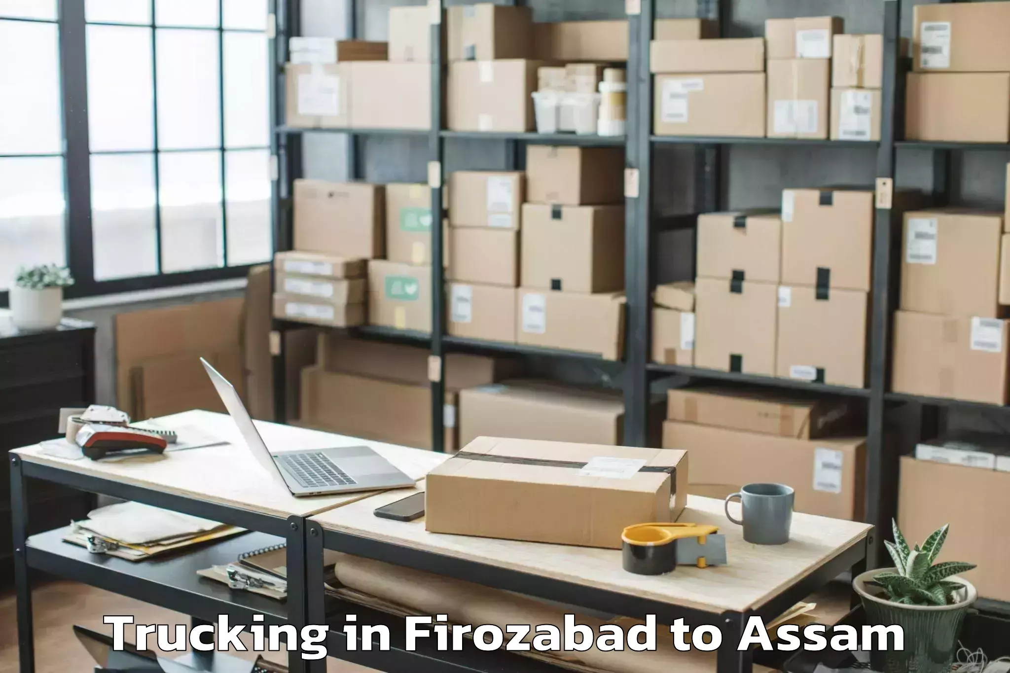 Easy Firozabad to Kharupatia Trucking Booking